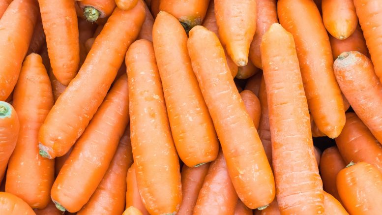 Alimentos de temporada en verano